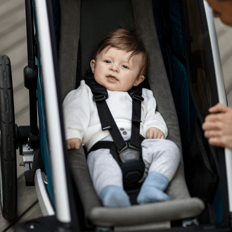 Thule top chariot baby