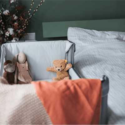 co-sleeper chicco next2me magic evo - Tiny Library