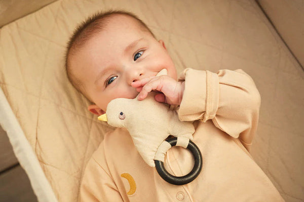 Rent your baby items or buy with a buy-back guarantee