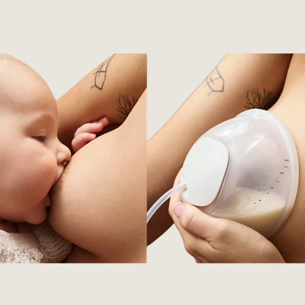 Philips Avent handsfree borstkolf - borschild small - Tiny Library