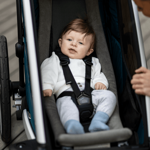 thule chariot babybaby hangmat - Tiny Library