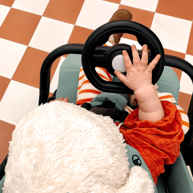 Easywalker steering wheel steering wheel
